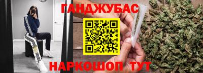 дживик Моздок