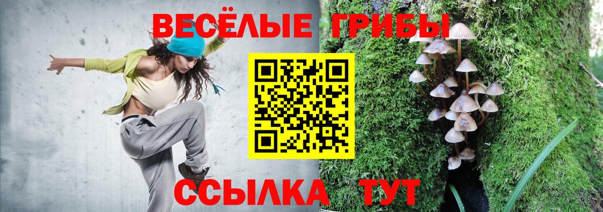 Владимир  закладка  Вход с VPN  Псилоцибиновые грибы Psilocybine cubensis 