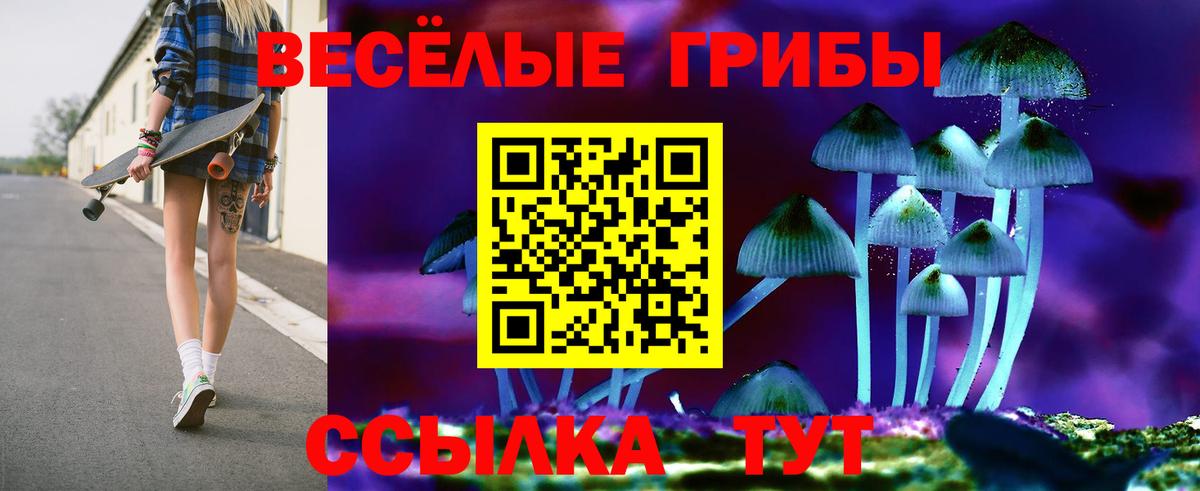 Галлюциногенные грибы мухоморы Владимир